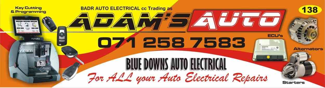 Bluedown Auto Electrical